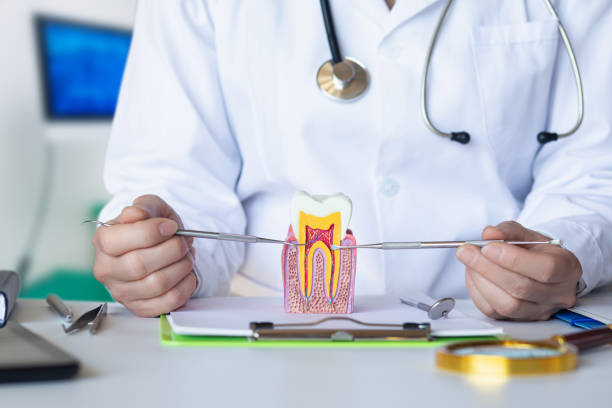 Best Emergency Care for Gum Disease in Sleepy Hollow, WY